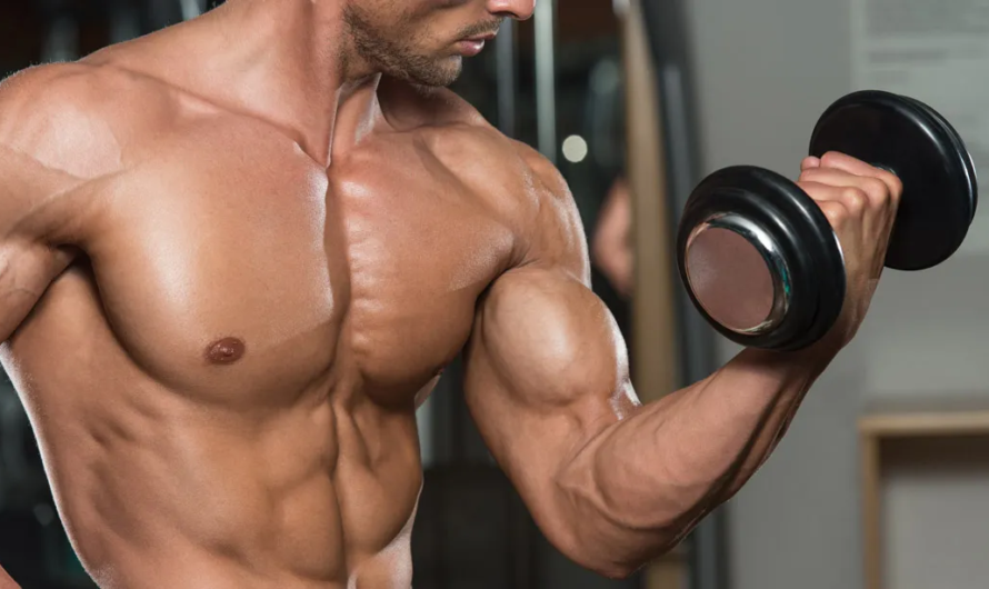 How to Get The Most From Your Biceps Workouts